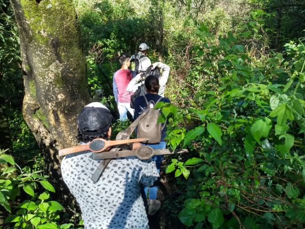 En cammino. El área, abundante en maleza que se da con la lluvia.