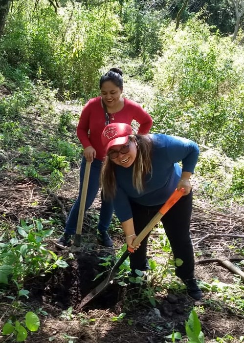 Preparación suelo reforestación1