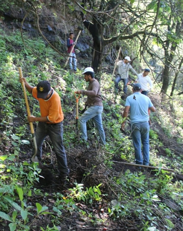 Preparación suelo reforestación3