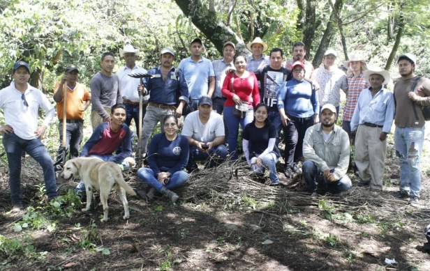 Preparación suelo reforestación4