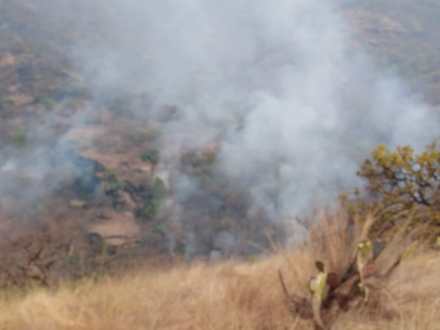 WhatsApp Image 2019-05-13 at 21.39.38 (1)