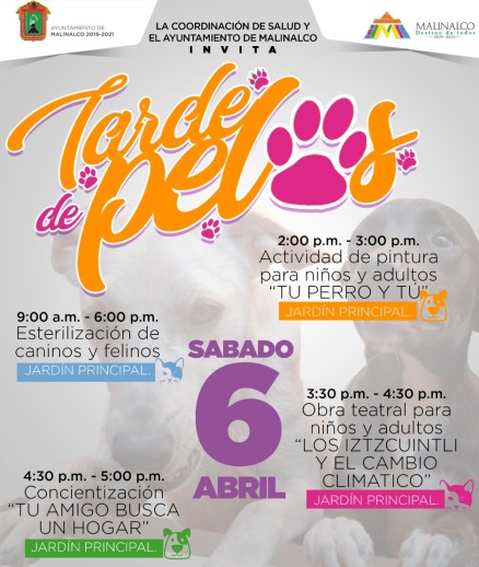 WhatsApp Image 2019-04-09 at 19.15.14