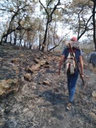 WhatsApp Image 2019-05-13 at 21.41.54